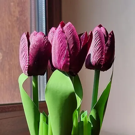 1br Bright 300mbps Wifi Duplex - Two Floors Apartmán *