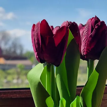 Apartmán 1br Bright 300mbps Wifi Duplex - Two Floors