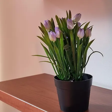 1br Bright 300mbps Wifi Duplex - Two Floors バンスコ