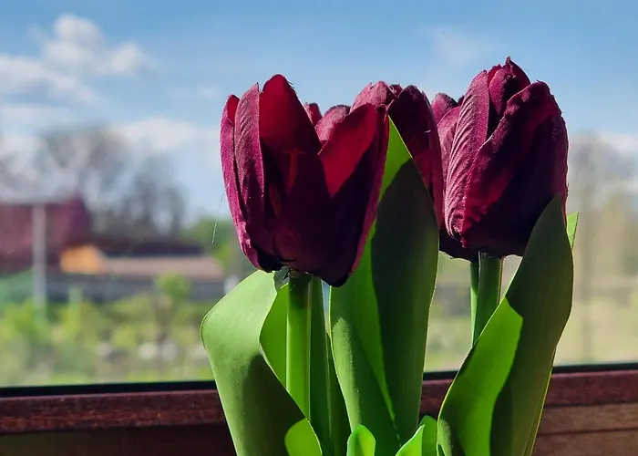 Appartement 1br Bright 300mbps Wifi Duplex - Two Floors