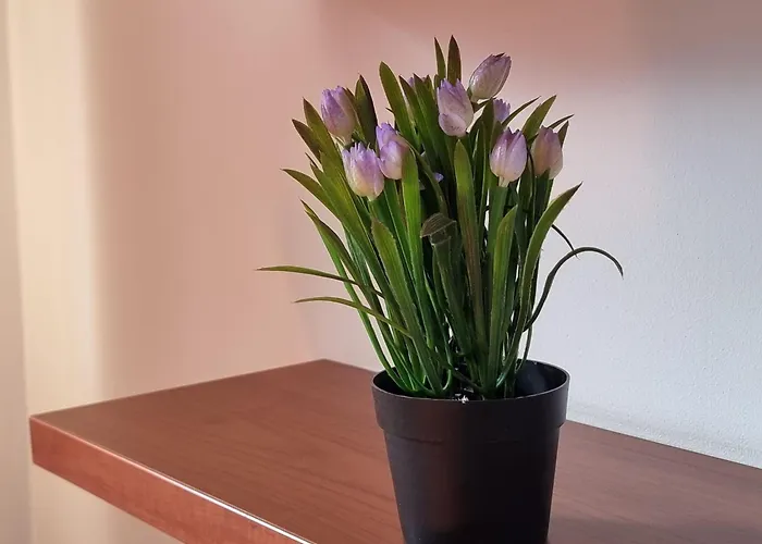 1br Bright 300mbps Wifi Duplex - Two Floors Bansko