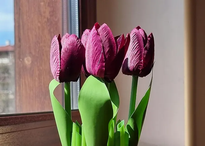 1br Bright 300mbps Wifi Duplex - Two Floors Appartement *